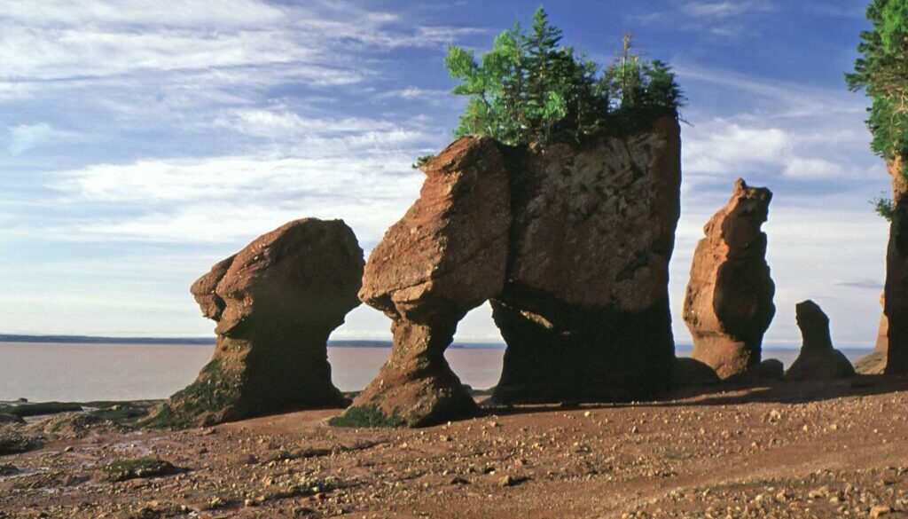 Hopewell Rocks