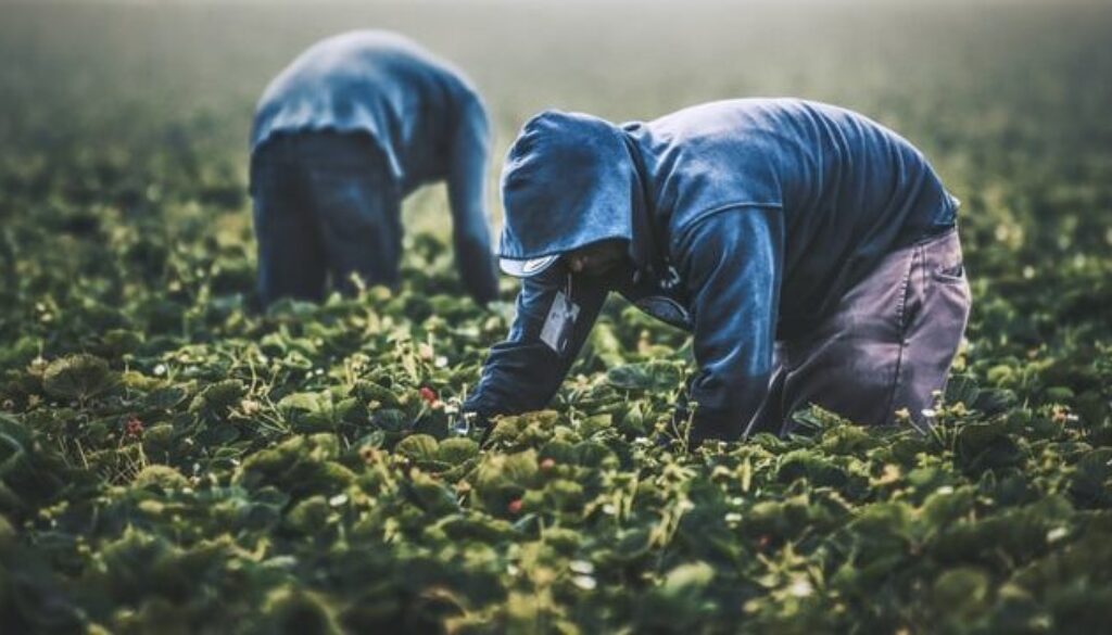 tim-mossholder-Kx060cRsmt0-unsplash