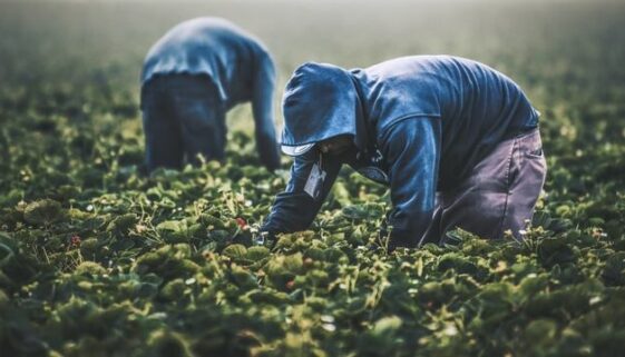 tim-mossholder-Kx060cRsmt0-unsplash