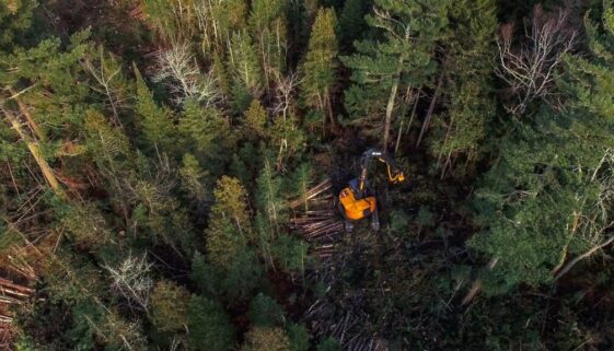 vlcsnap-2017-01-19-10h49m56s232