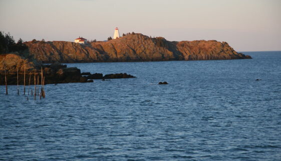 Grand Manan Richo Fan CC