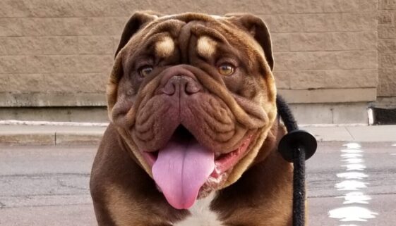 IMG_20200928_083056_108