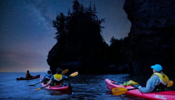 Hopewell Rocks Kayak - Shaun Gibbs