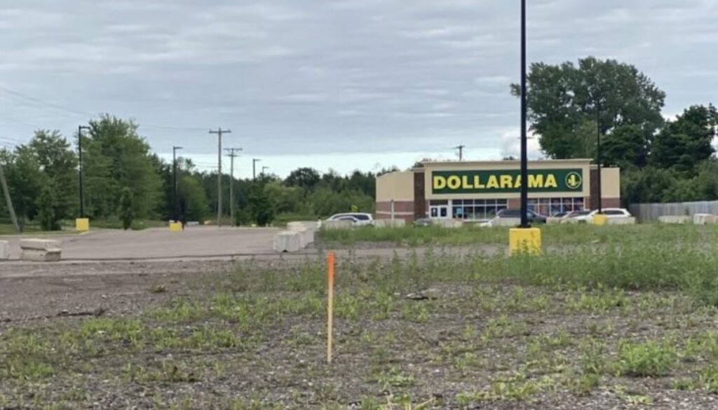 elmwood area