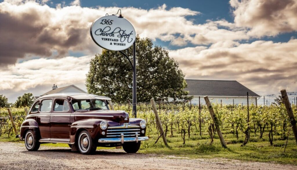 Vintage Vino WEB 003-min