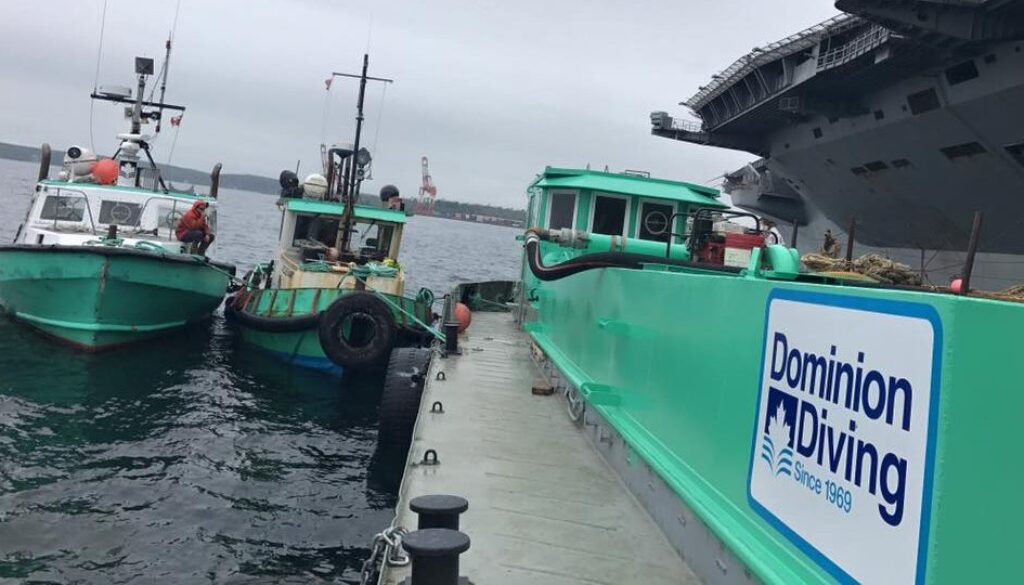 Dominion Diving ships