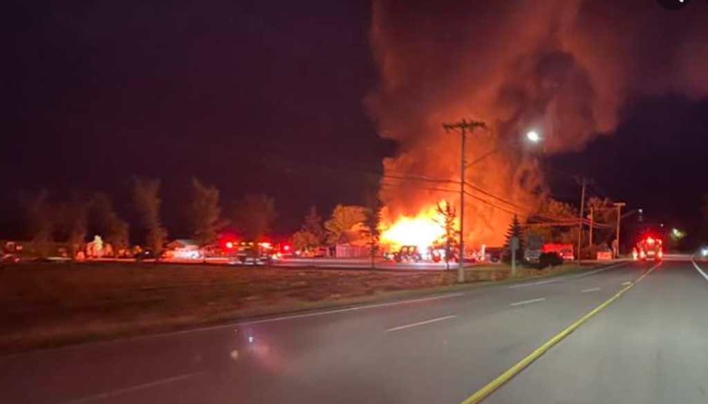 Green pig fire Darren Rietzel