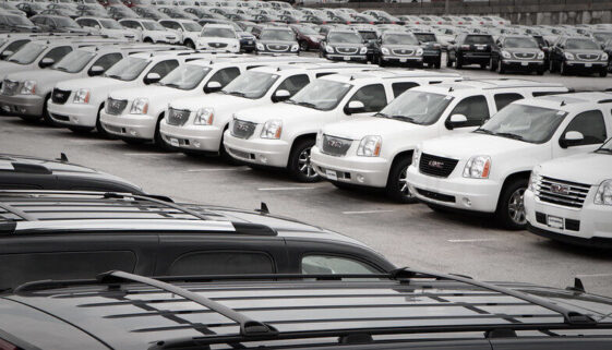 3633878845_560c154e6b_c