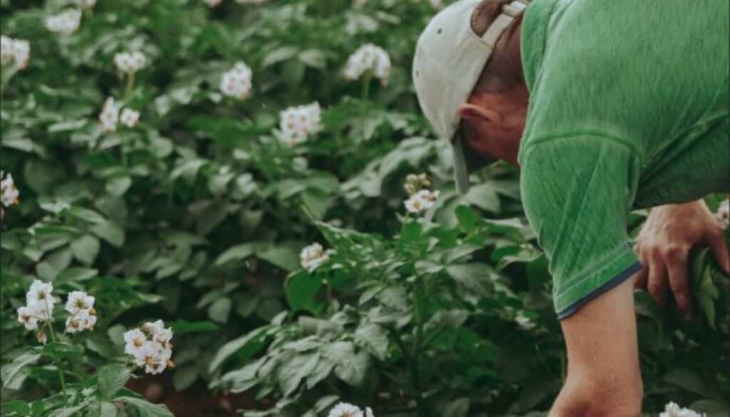 retiree farmer