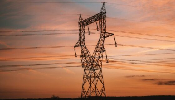 martin-baron-rVfs61ldjrE-unsplash