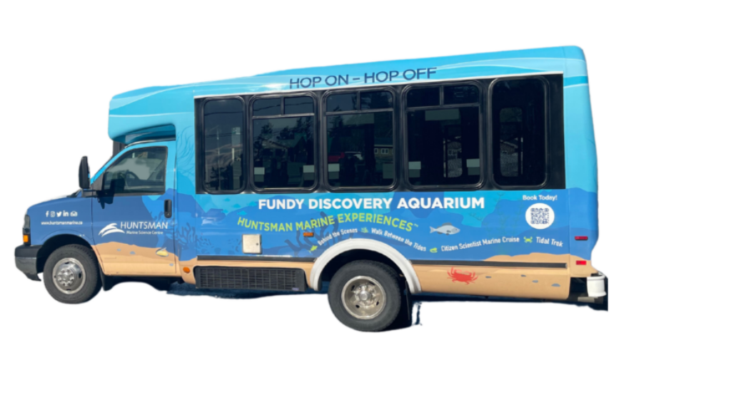 BUS7