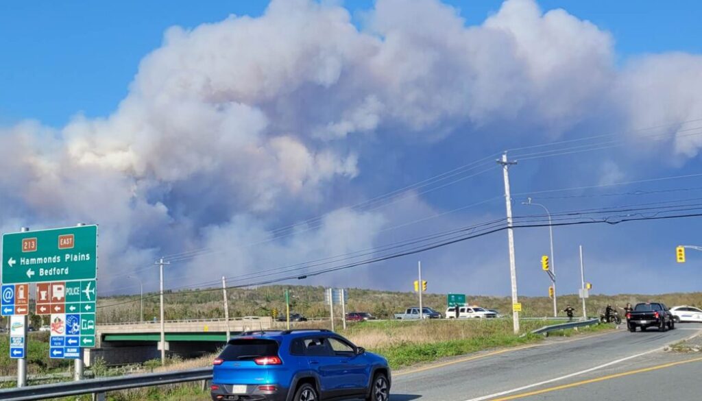 Wildfires2