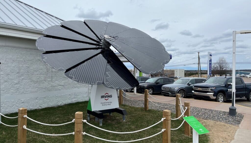 solar panel2